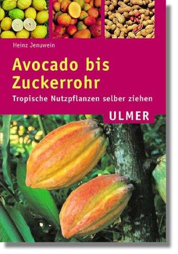 Avocado bis Zuckerrohr