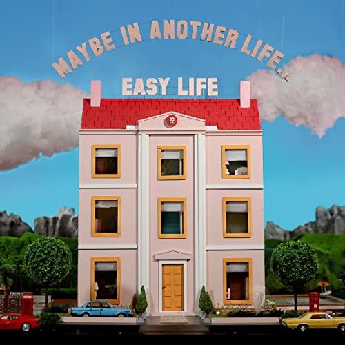 Maybe in Another Life...(Vinyl) [Vinyl LP]