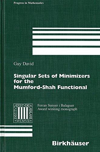 Singular Sets of Minimizers for the Mumford-Shah Functional (Progress in Mathematics)