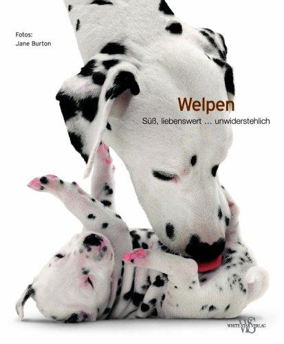 Welpen: Süß, liebenswert...unwiderstehlich (Natur, Tiere)