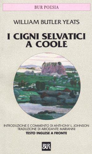 I cigni selvatici a Coole