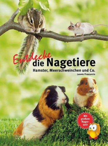 Entdecke die Nagetiere: Hamster, Meerschweinchen & Co. (NTV Kinderbuch)