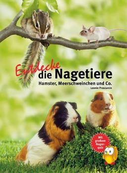 Entdecke die Nagetiere: Hamster, Meerschweinchen & Co. (NTV Kinderbuch)