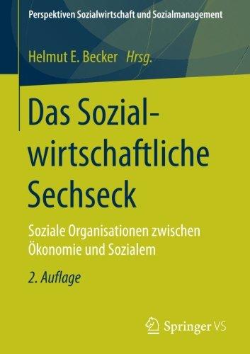 Das Sozialwirtschaftliche Sechseck: Soziale Organisationen zwischen Ökonomie und Sozialem (Perspektiven Sozialwirtschaft und Sozialmanagement)