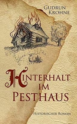 Hinterhalt im Pesthaus: Historischer Roman (Begine Hildegard)