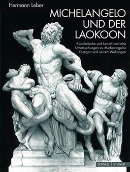 Michelangelo und der Laokoon: Künstlerische und kunsthistorische Untersuchungen zu Michelangelos Disegno und dessen Wirkungen (2 Bände)