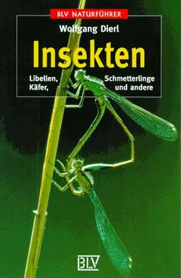 Insekten. Libellen, Käfer, Schmetterlinge und andere