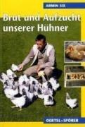 Brut und Aufzucht unserer Hühner