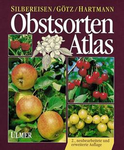 Obstsorten - Atlas. Kernobst, Steinobst, Beerenobst, Steinobst