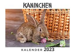 Kaninchen: Kalender 2023