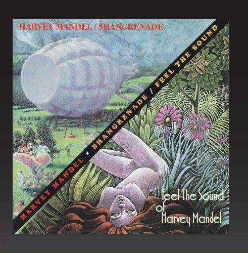 Shangrenade - Feel the Sound of Harvey Mandel