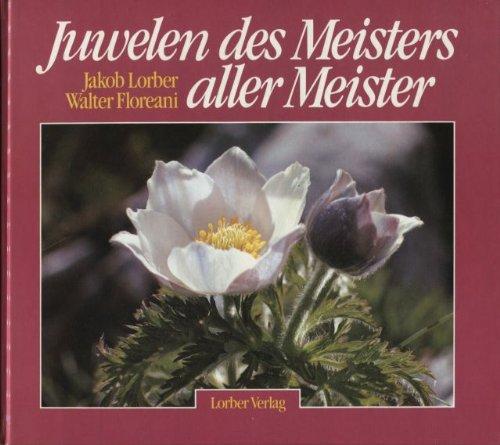 Juwelen des Meisters aller Meister, Bd.1