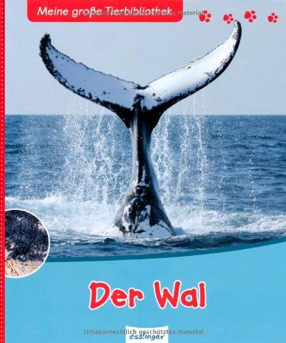 Der Wal: Meine große Tierbibliothek