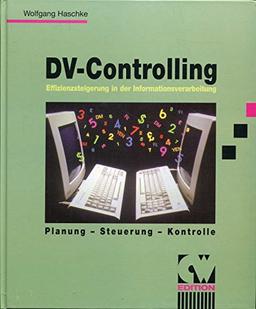 DV-Controlling: Effizienzsteigerung der Informationsverarbeitung (CW Edition)