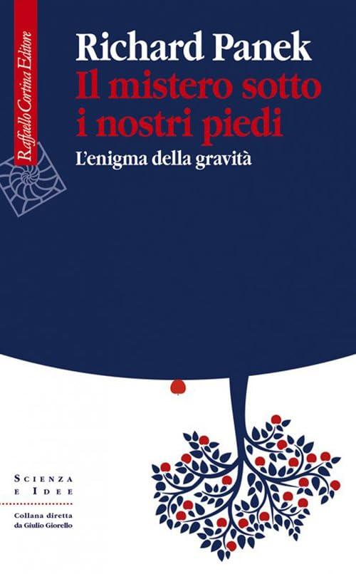 Il mistero sotto i nostri piedi. L'enigma della gravità (Scienza e idee, Band 319)