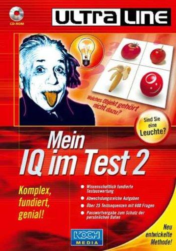 Mein IQ im Test 2