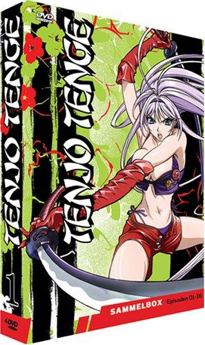 Tenjo Tenge - Sammelbox 1 (Episoden 1-16) [4 DVDs]