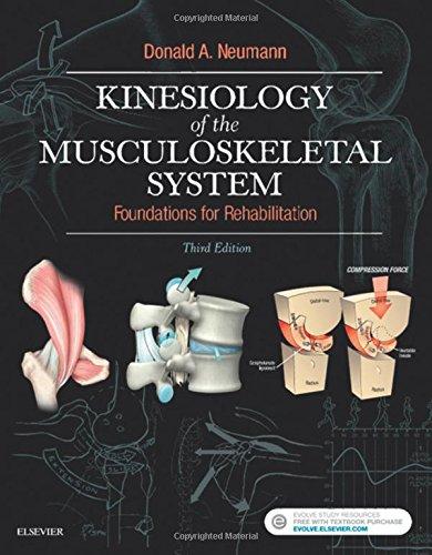 Kinesiology of the Musculoskeletal System: Foundations for Rehabilitation