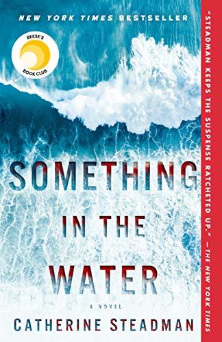 Something in the Water: A Novel