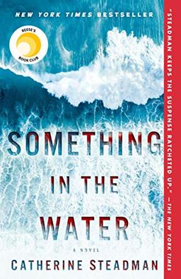 Something in the Water: A Novel