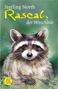 Rascal, der Waschbär