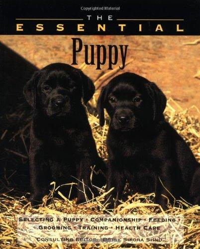 The Essential Puppy (The Essential Guides)