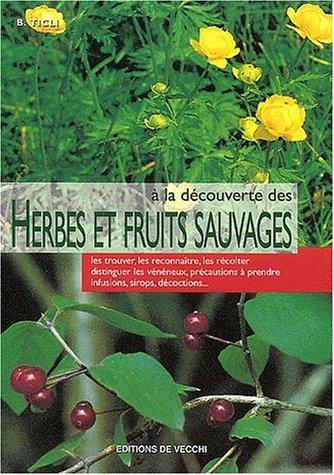 A la découverte des herbes et fruits sauvages (Vie Quotidienne)