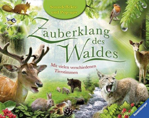 Zauberklang des Waldes