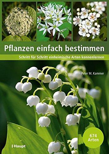 Pflanzen einfach bestimmen: Schritt für Schritt einheimische Arten kennenlernen