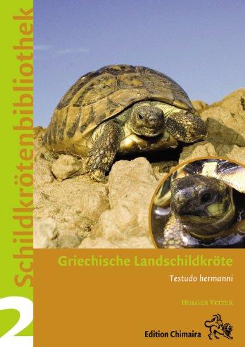 Griechische Landschildkröte (Testudo hermanni)