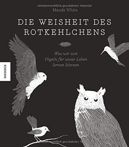 Die Weisheit des Rotkehlchens: Was wir von Vögeln für unser Leben lernen können