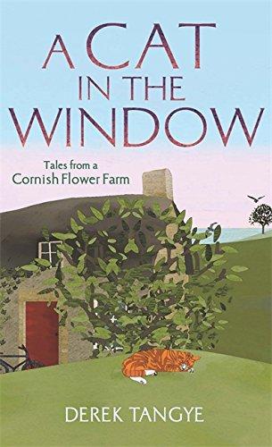 A Cat in the Window: Tales from a Cornish Flower Farm (Minack Chronicles, Band 2)