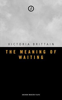 The Meaning of Waiting (Oberon Modern Plays)