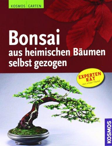 Bonsai aus heimischen Bäumen selbst gezogen