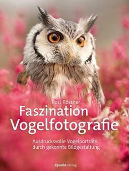 Faszination Vogelfotografie: Ausdrucksvolle Vogelporträts durch gekonnte Bildgestaltung