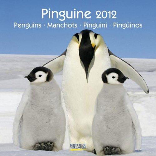 Pinguine 2012, Penguins, Manchots, Pinguini, Pingüinos/ Broschürenkalender