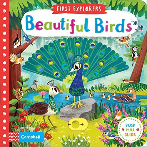 Beautiful Birds (Campbell First Explorers, 11)