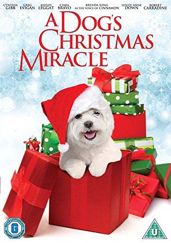 Eine tierische Bescherung / A Dog's Christmas Miracle [UK Import]