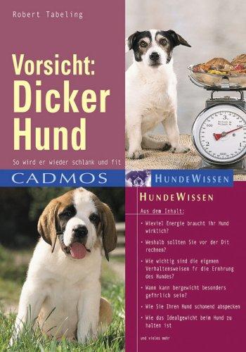 Vorsicht: Dicker Hund: So wird er schlank, so bleibt er fit