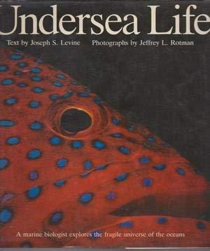 Undersea Life