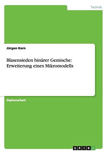 Blasensieden binärer Gemische: Erweiterung eines Mikromodells: Diplomarbeit