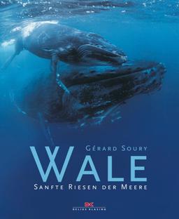 Wale: Sanfte Riesen der Meere