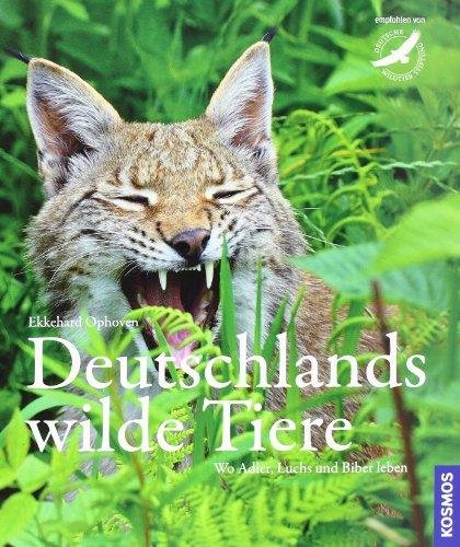 Deutschlands wilde Tiere: Wo Adler, Dachs und Biber leben: Wo Adler, Luchs und Biber leben