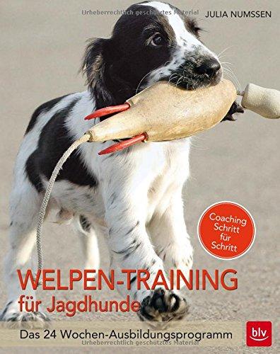 Welpen-Training für Jagdhunde: Das 24-Wochen Ausbildungsprogramm