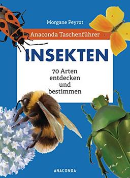 Anaconda Taschenführer Insekten: 70 Arten entdecken und bestimmen