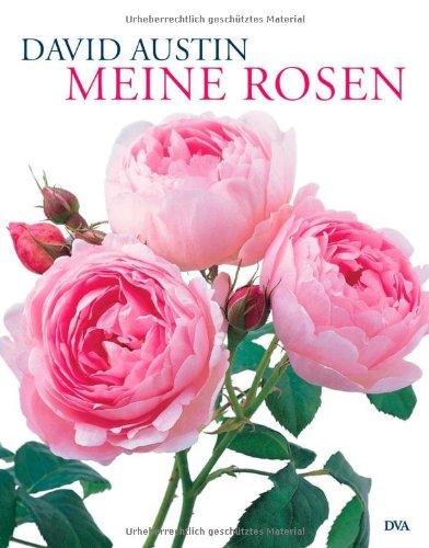 Meine Rosen