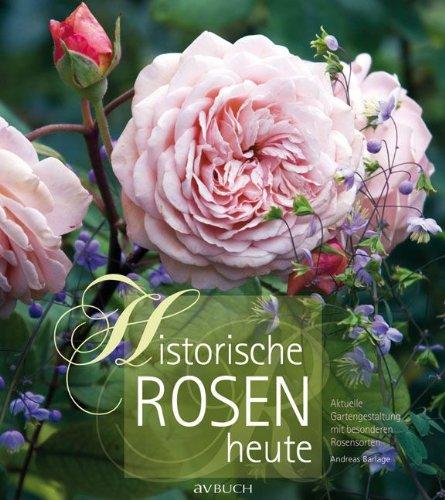 Historische Rosen heute: Aktuelle Gartengestaltung mit besonderen Rosensorten