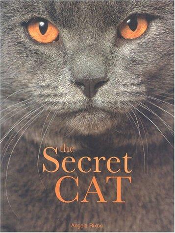 The Secret Cat