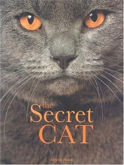 The Secret Cat