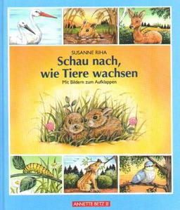 Schau nach, wie Tiere wachsen: Mit Bildern zum Aufklappen